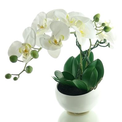GASPER Schmetterlingsorchidee - Phalaenopsis Weiß i48 cm - Kunstpflanzen