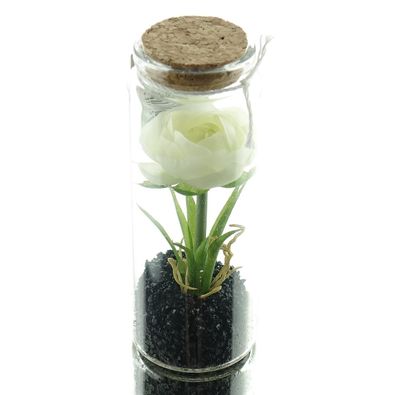 GASPER Ranunkel Weiß im Glas mit Deckel 12,5 cm - Kunstpflanzen