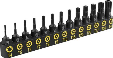 13-tlgs. Bit Set T4, T5, T6, T7, T8, T9, T10, T15, T20, T25 , T-27, T-30 & T-40