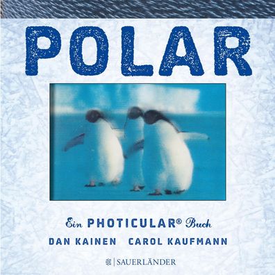 Polar, Dan Kainen