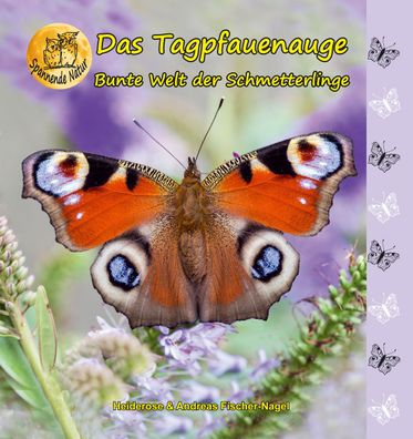 Bunte Welt der Schmetterlinge, Heiderose Fischer-Nagel