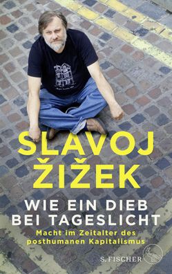 Wie ein Dieb bei Tageslicht, Slavoj Zizek