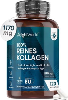 Weightworld Kollagen Kapseln - 1170mg pures Marine Collagen - 120 Kapseln