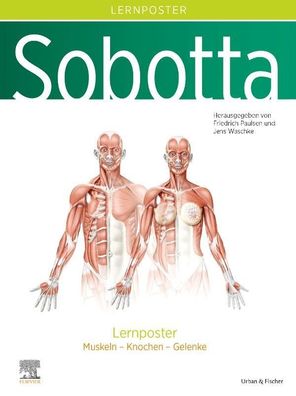 Sobotta Lernposter Anatomie, Friedrich Paulsen