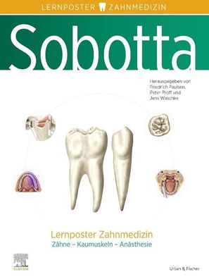Sobotta Lernposter Zahnmedizin, Friedrich Paulsen