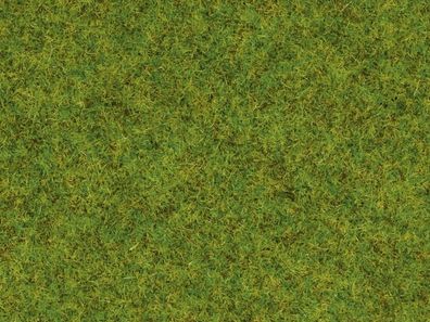 Noch 08200 Streugras “Frühlingswiese”