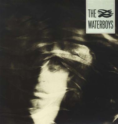 The Waterboys (remastered) (180g) - ADA/ Chrys 2564631081 - (Vinyl / Pop (Vinyl))