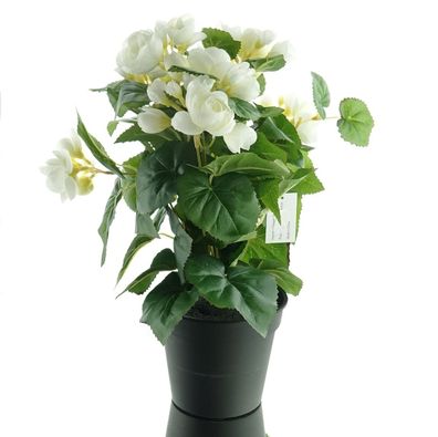 GASPER Elatior-Begonie Weiß im schwarzen Topf 38 cm - Kunstblumen