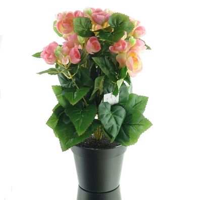 GASPER Elatior-Begonie Rosa im schwarzen Topf 38 cm - Kunstblumen