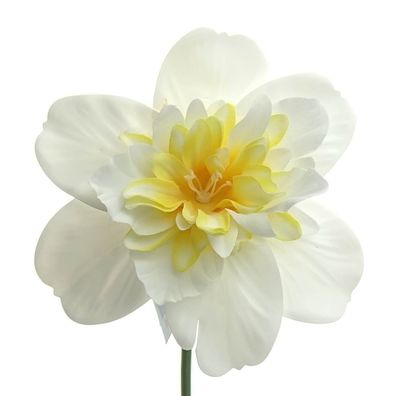 GASPER Osterglocken - Narzissen Weiß & Gelb gefüllte Blüte 40 cm - Kunstblumen