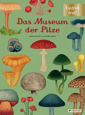 Das Museum der Pilze, Ester Gaya