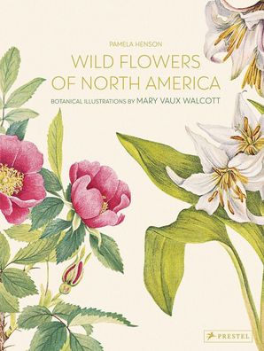 Wild Flowers of North America, Pamela Henson