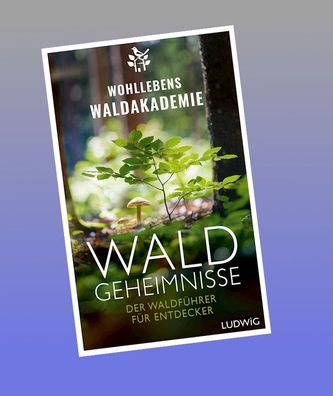 Waldgeheimnisse, Wohllebens Waldakademie