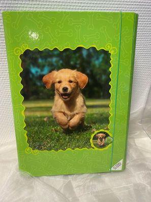 Brunnen Heftbox - Sammelmappe * Heftmappe - DIN A4 - Hund - Hundemotiv