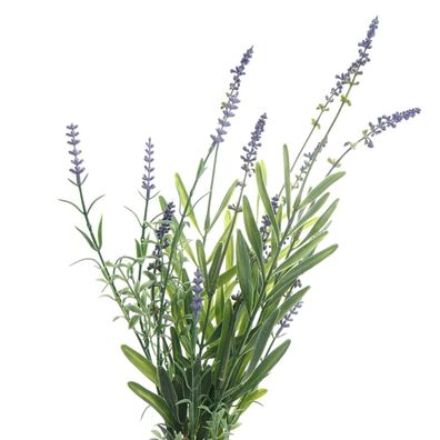 GASPER Lavendel Blauviolett ca. 48 cm als 6er Bund - Kunstpflanzen