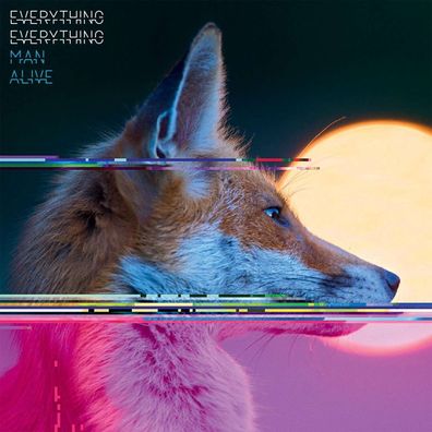 Everything Everything: Man Alive - - (LP / M)