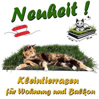 Kleintier-Rasen - Katzengras - Katzenwiese 60x40cm mit Tasse