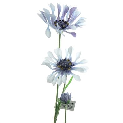 GASPER Kapmargeritenblüten Weiß-Blau löffelblättrig 66 cm - Kunstblumen