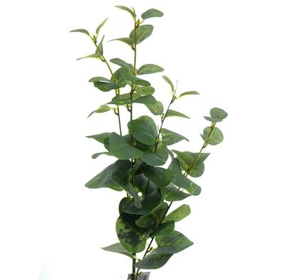 DPI Eukalyptuszweig Grün 95 cm - Kunstpflanzen