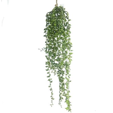 DPI Sukkulentenhänger Grün 56 cm - Kunstpflanzen