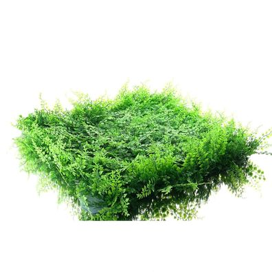 Kaemingk Grünpflanzen Wandpanele Grün quadratisch 50 x 50 cm - Kunstpflanzen