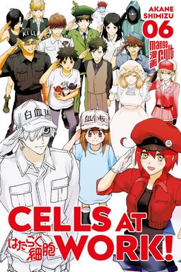 Cells at Work! 6, Akane Shimizu