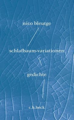 schlafbaum-variationen, Nico Bleutge