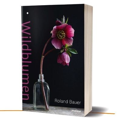 Wildblumen, Roland Bauer