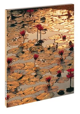 Blankbook Lotus Pond, Tushita-Verlag