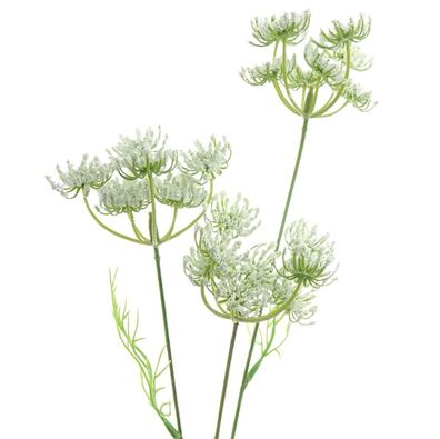 GASPER Knorpelmöhre - Ammi majus Weiß 52 cm - Kunstblumen