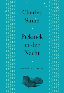 Picknick in der Nacht, Charles Simic