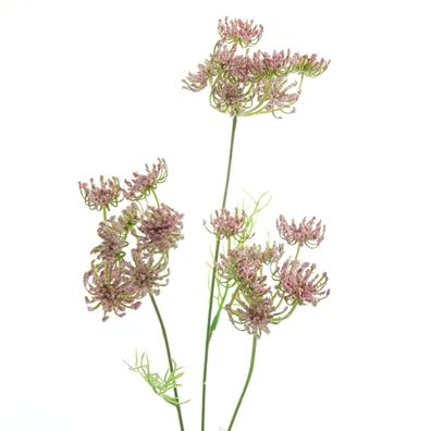 GASPER Knorpelmöhre - Ammi majus Rosa 52 cm - Kunstblumen