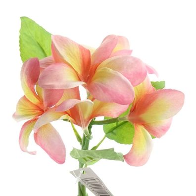 GASPER Frangipani - Plumeria Rosa & Gelb 32 cm - Kunstblumen
