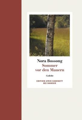 Sommer vor den Mauern, Nora Bossong