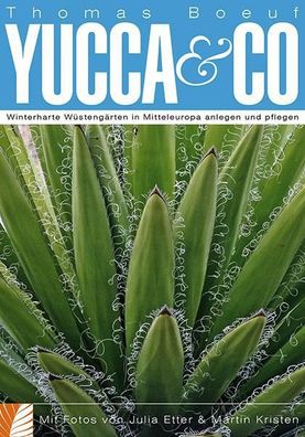 Yucca & Co, Thomas Boeuf