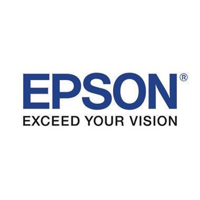Epson Epson Ink Light Magenta (C13T08064011)