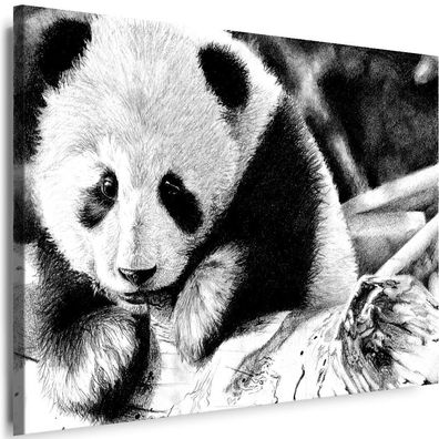 Bilder Leinwand Panda abstrakt Tiere Natur Wandbilder Myartstyle