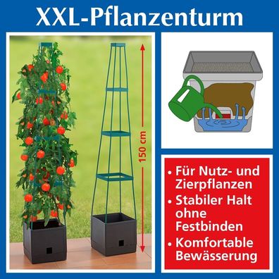 Pflanzenturm XXL für alle Rank- und Kletterpflanzen ca. 150 cm Höhe