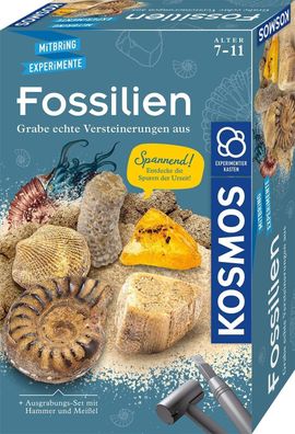 KOSMOS 657918 Fossilien Ausgrabungs-Set, Grabe echte Versteinerungen aus, Kinder