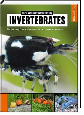 Invertebrates, Chris Lukhaup