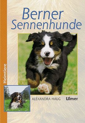 Berner Sennenhunde, Alexandra Haug