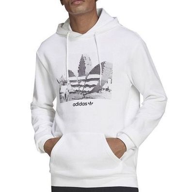 Adidas Originals Herren Sweatshirt Trefoil C Hoody2 HC7164