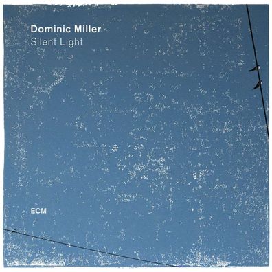 Dominic Miller: Silent Light (180g) - - (LP / S)