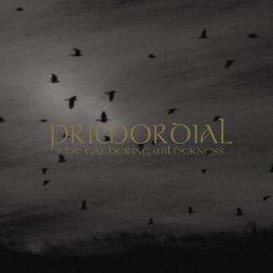 Primordial: The Gathering Wilderness - Metal Blad 03984145182 - (CD / T)