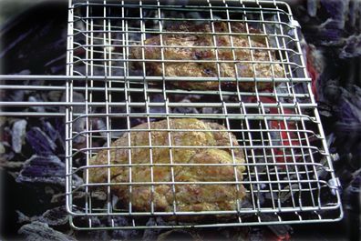 Coghlans Handgrill 'Broiler'