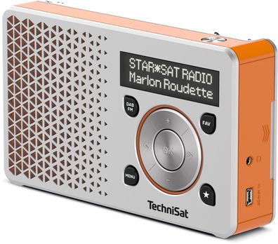 TechniSat Digitradio 1, silber/ orange