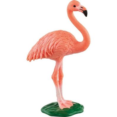 Wild Life Flamingo - Schleich 14849 - (Spielwaren / Playset (F...