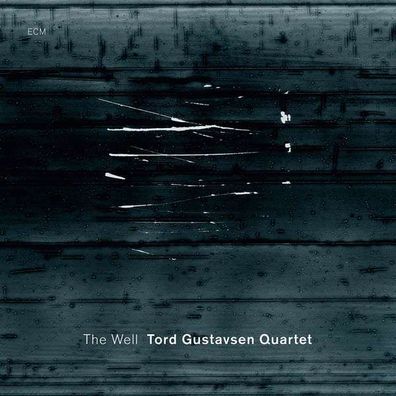 Tord Gustavsen: The Well