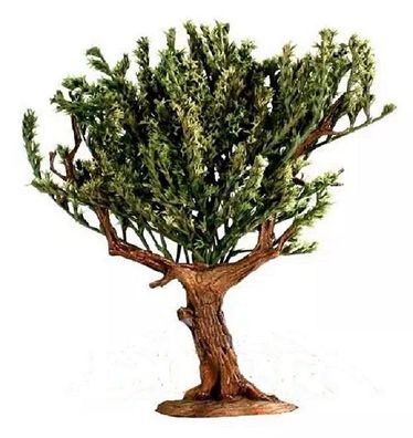 Olivenbaum - naturgetreu - Höhe ca. 12,0-15,0 cm
