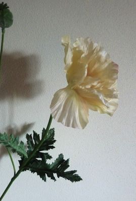 Mohn-Zweig künstlich mit 1 Blüte & 1 Knospe, Beige, 78 cm hoch